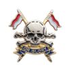 Picture of The Royal Lancers Lapel Pin - Gilt/Silver Plate - Plastic Box