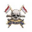 Picture of The Royal Lancers Lapel Pin - Gilt/Silver Plate - Plastic Box